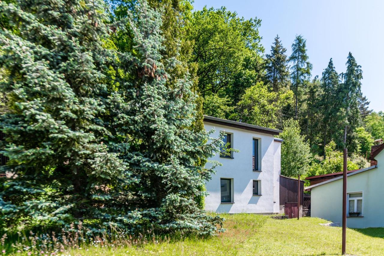 Villa Haus Am Wald Bad Schandau Esterno foto
